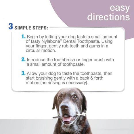 Nylabone Advanced Oral Care Senior Dog Dental Kit with Cushiony Soft-Bristle Toothbrush