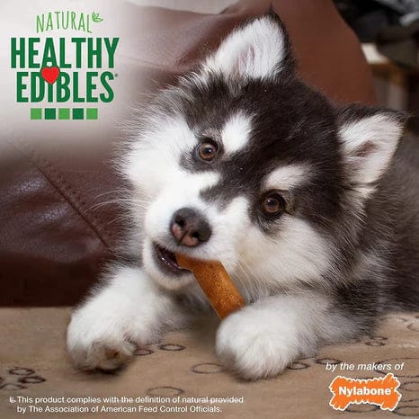 Nylabone Natural Healthy Edibles Puppy Turkey and Sweet Potato Puppy Chew Treats Regular