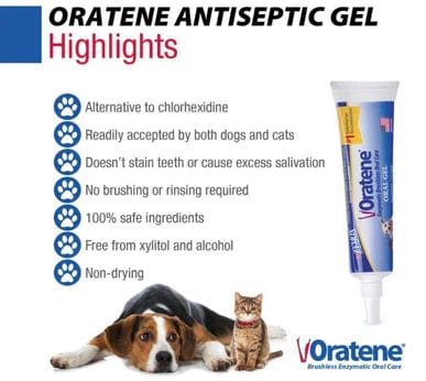 Zymox Oratene Brushless Oral Care Antiseptic Gel for Dogs and Cats