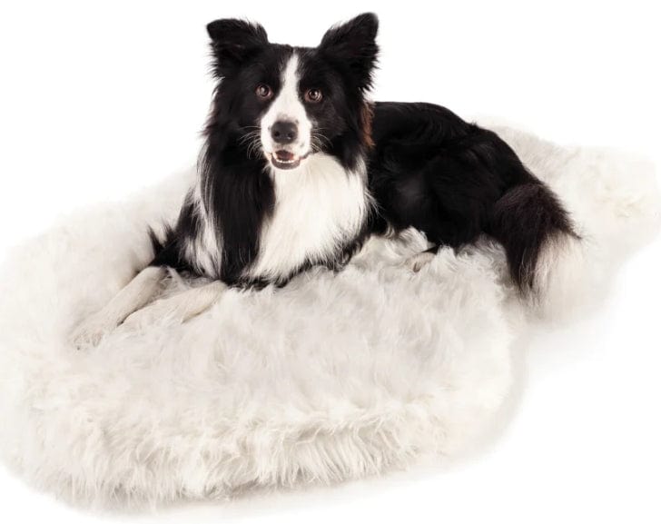 Paw PupRug Faux Fur Orthopedic Dog Bed White