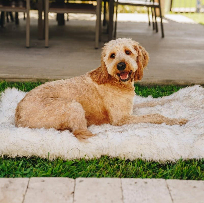 Paw PupRug Portable Orthopedic Dog Bed White with Brown Accents